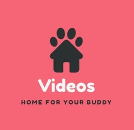Video Bokep-indo Anak 2026